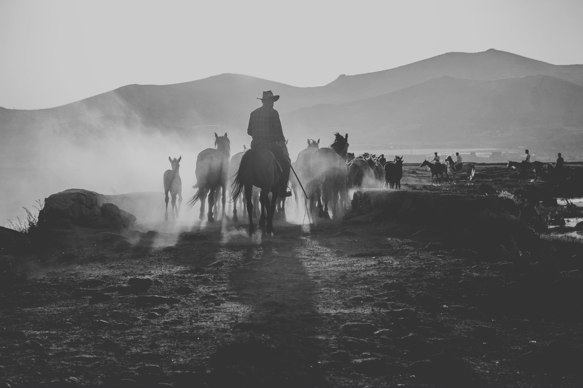 50% Off for the National Day of the Cowboy