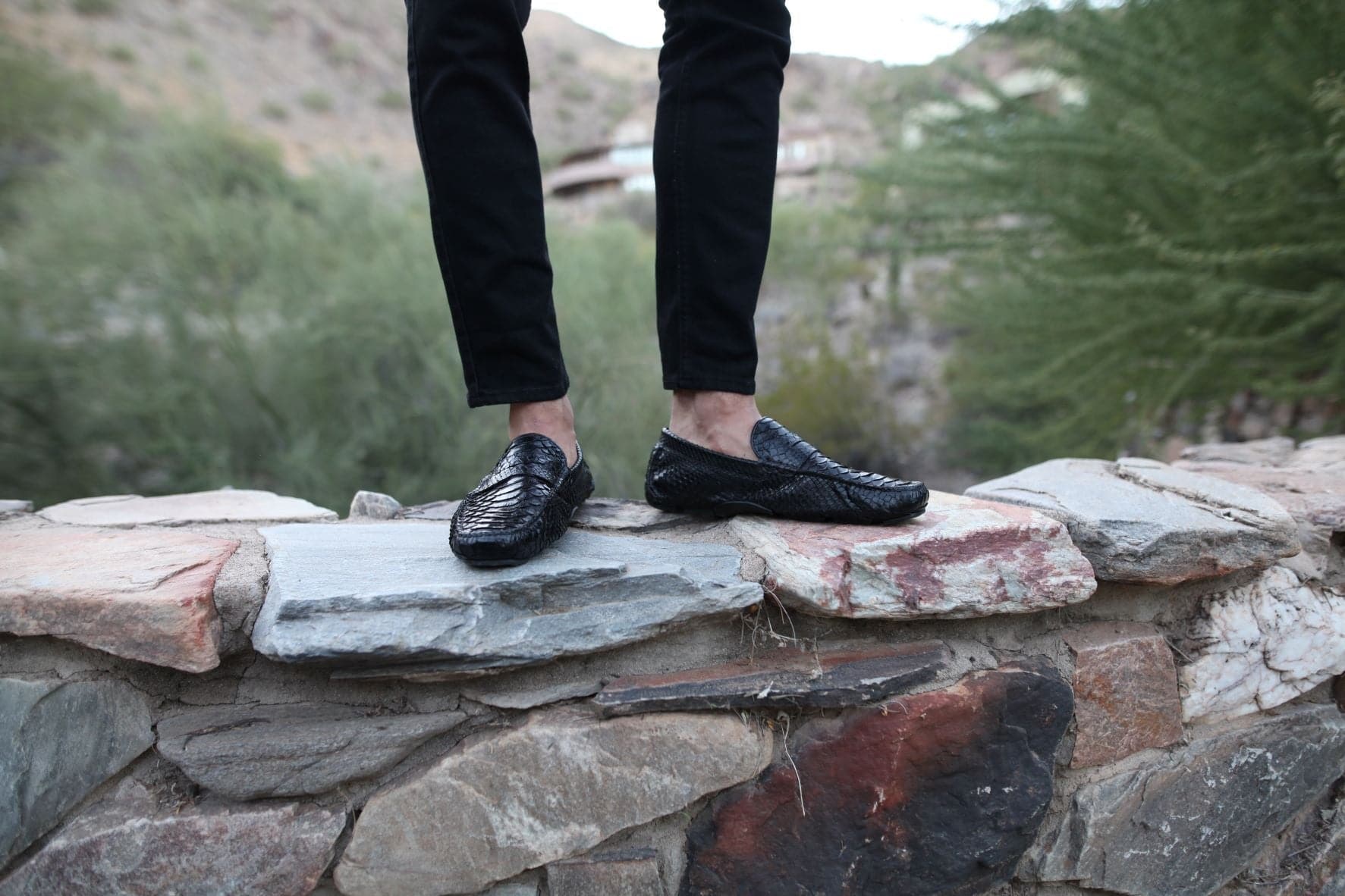 python loafers