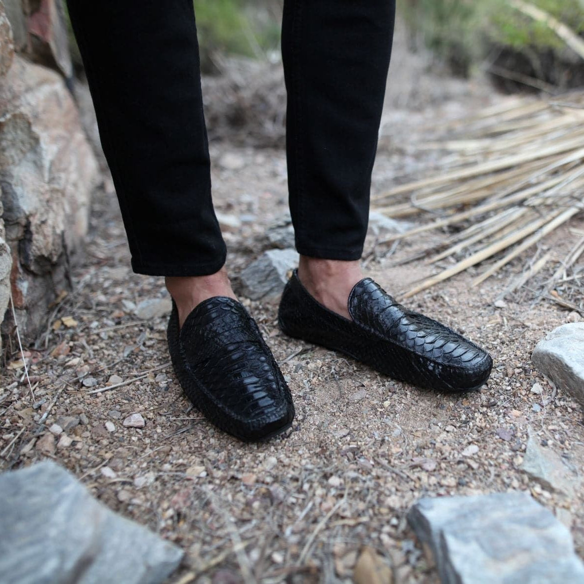 python loafers